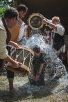 Gaukler-52